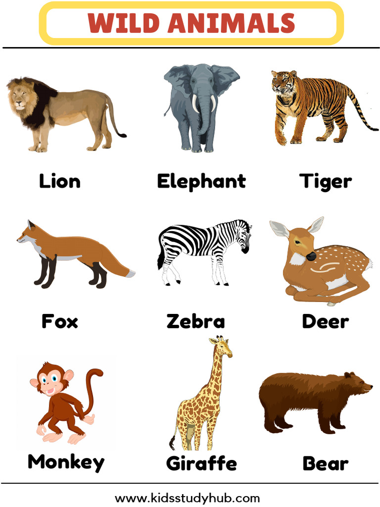 Wild Animals Chart | PDF