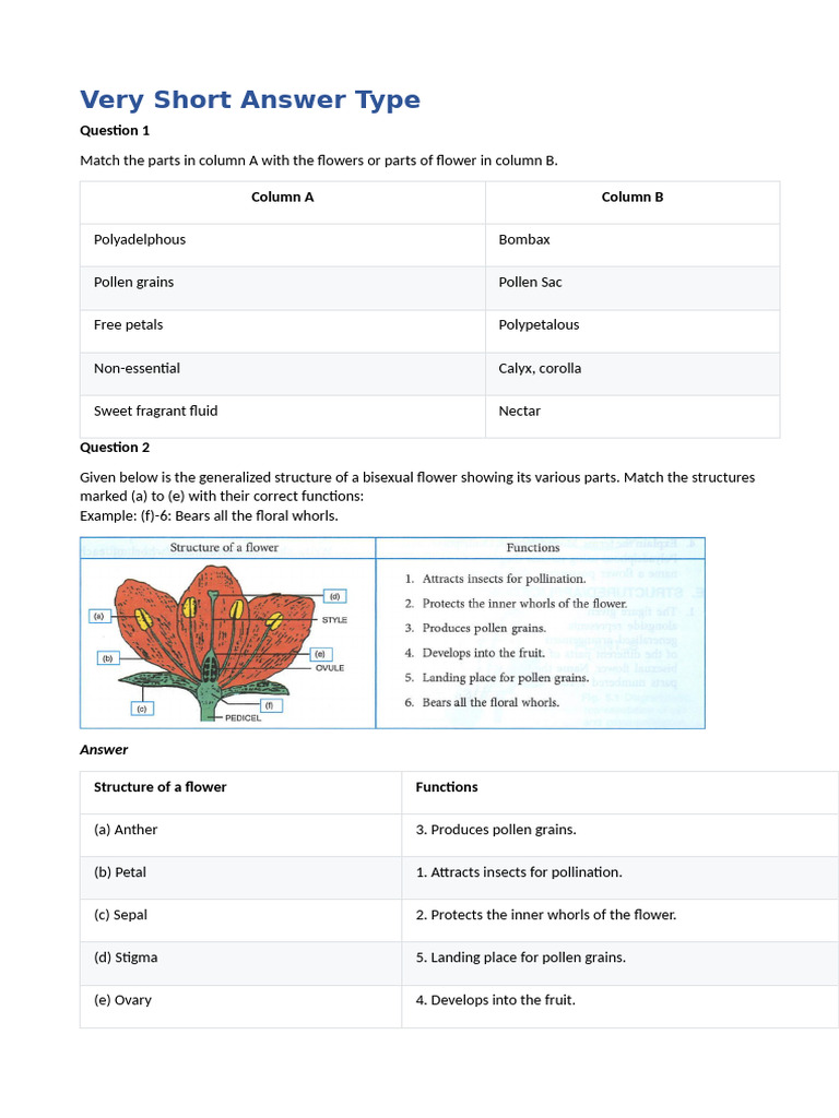 Flower Structure and Functions Guide | PDF | Flowers | Petal