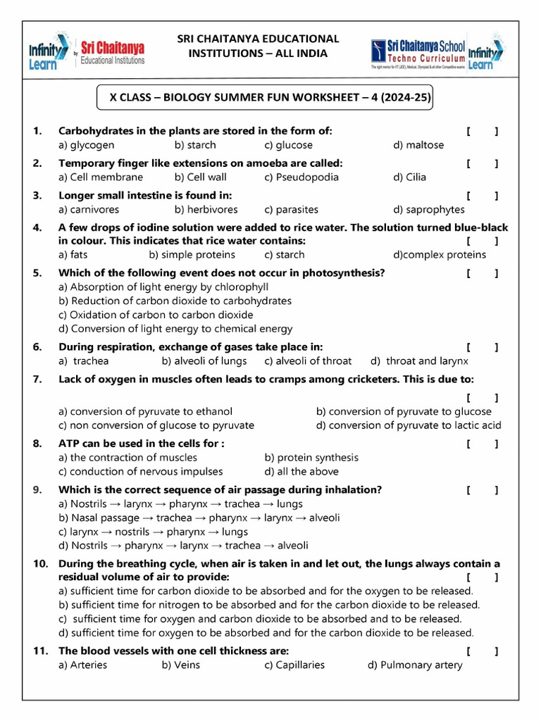 X Class Biology Summer Funworksheets - 4 | PDF