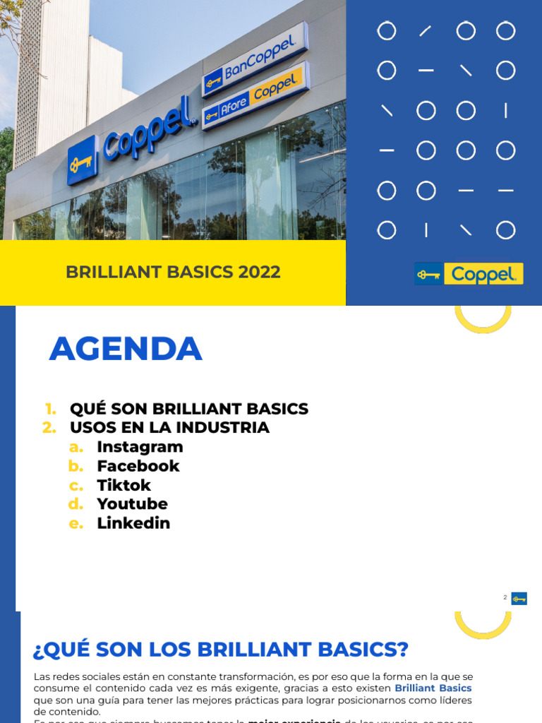 Brilliant Basics 2022 | PDF | Youtube | Facebook