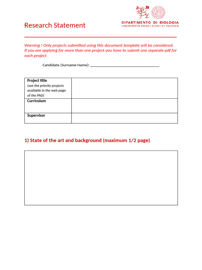 Research Statement Template 41 Ciclo | PDF