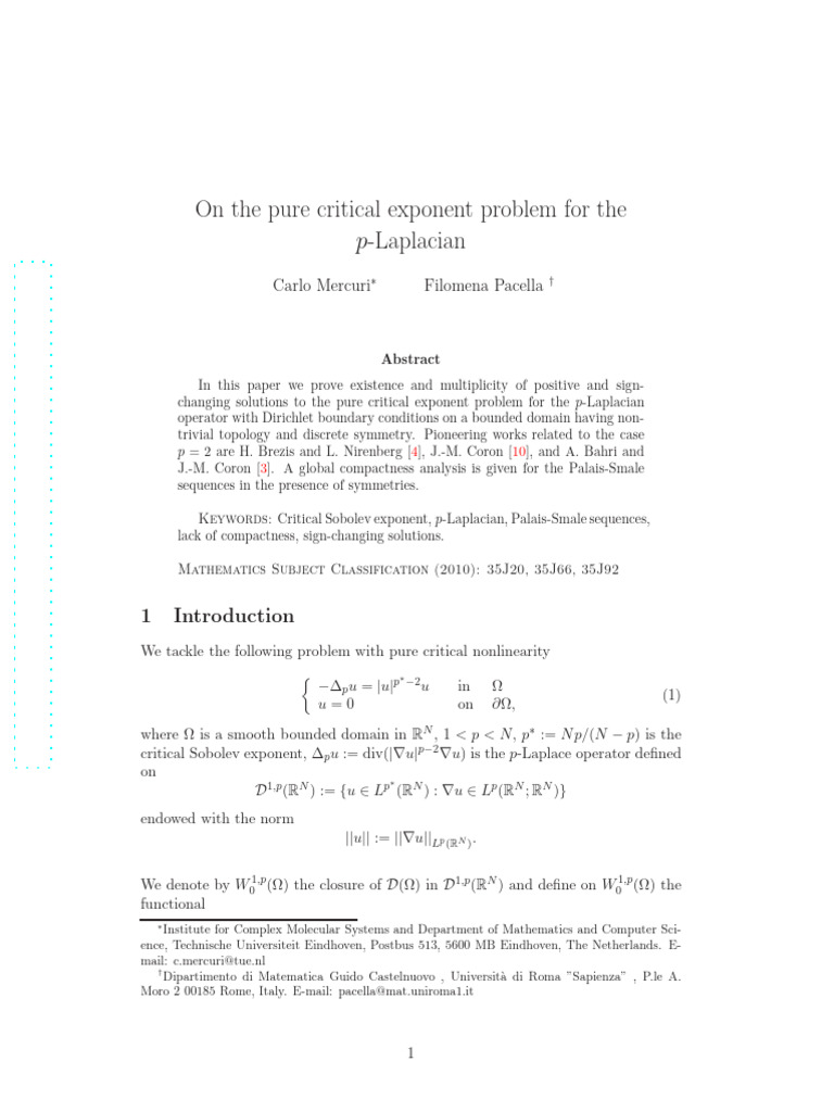 p-Laplacian Critical Exponent Solutions | PDF | Nonlinear System ...