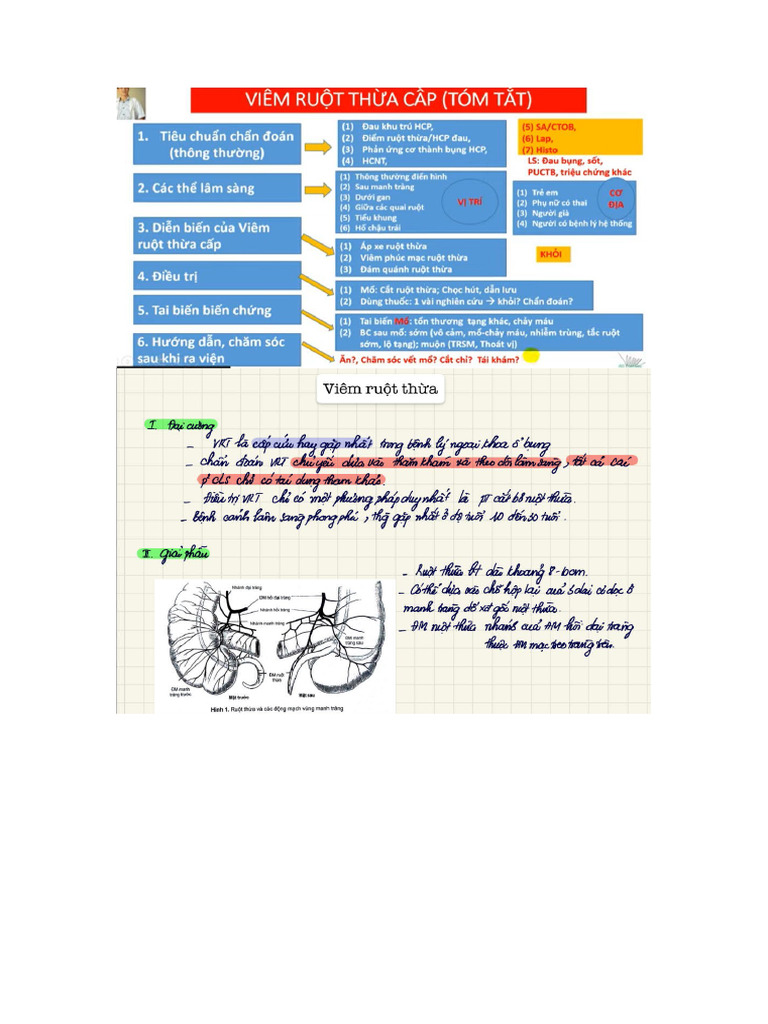 VRT | PDF