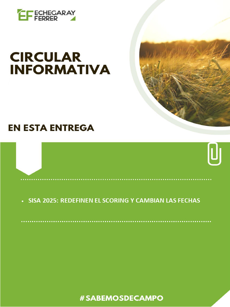 Circular Informativa - 14102025 | PDF