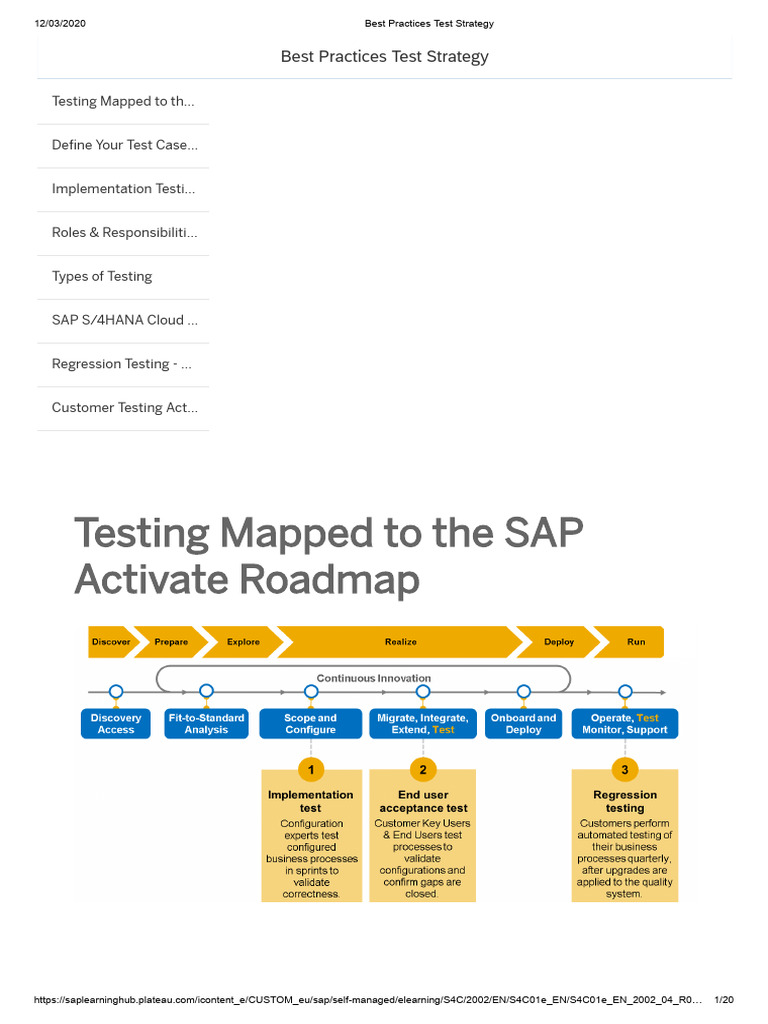 Best Practices Test Strategy | PDF | Unit Testing | Business Process