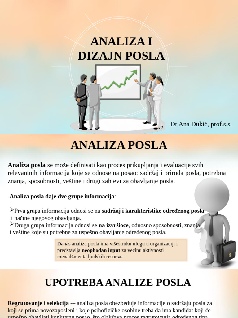 Analiza Posla 2 | PDF