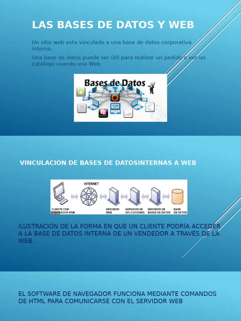 Las Bases de Datos y Web | PDF
