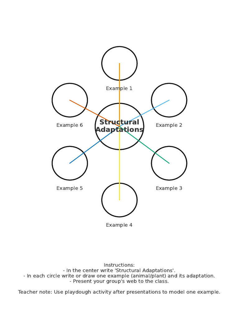 Examples of Structural Adaptations | PDF