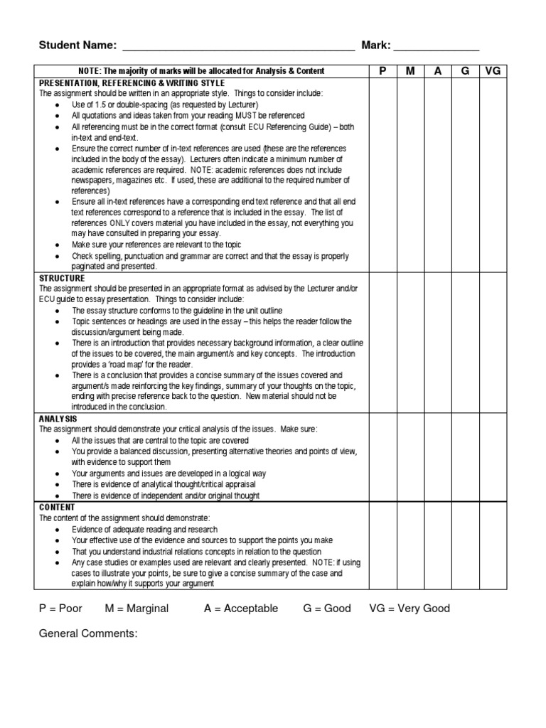 essay marking comments examples