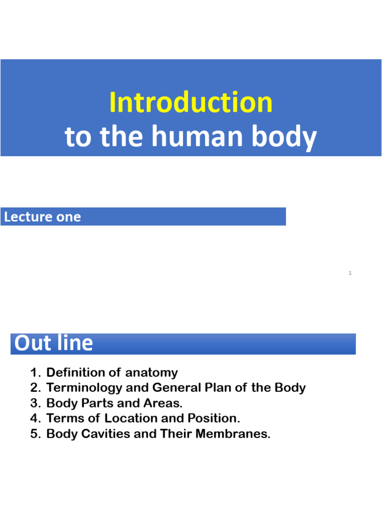 Introduction to Human Anatomy Basics | PDF | Anatomical Terms Of ...