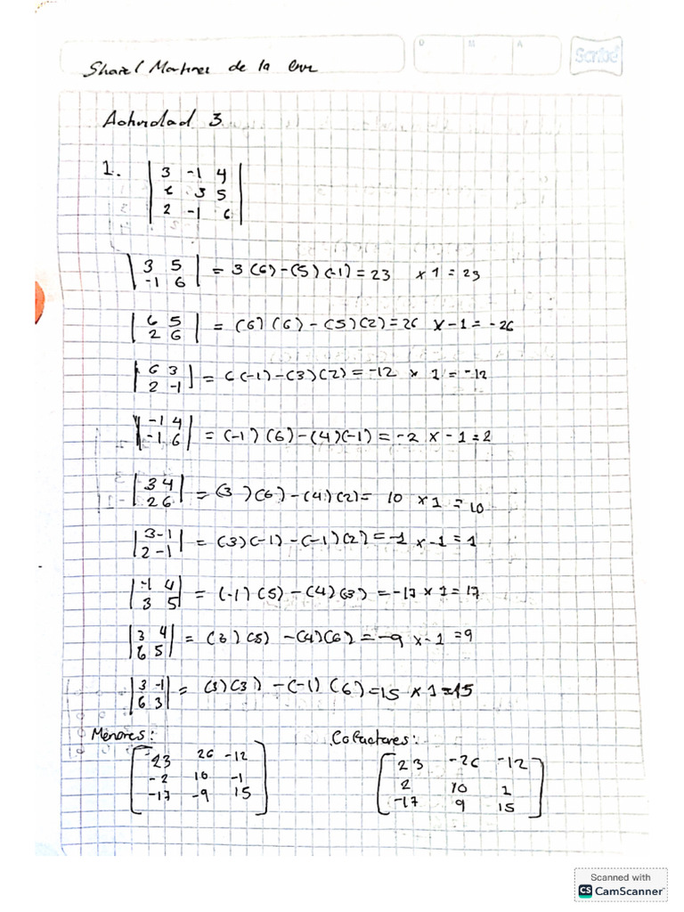 Actividad 3 Ejercicios | PDF