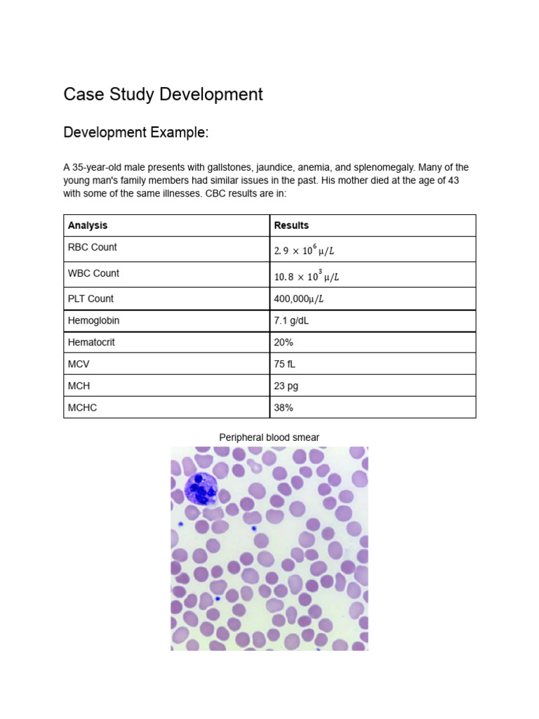 RBC Case Study Development | PDF