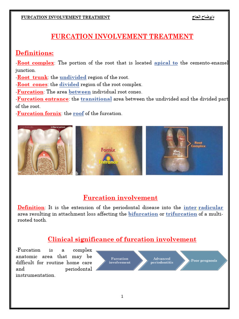 Furcation Involvement Treatment Guide | PDF | Dental Anatomy | Human Tooth