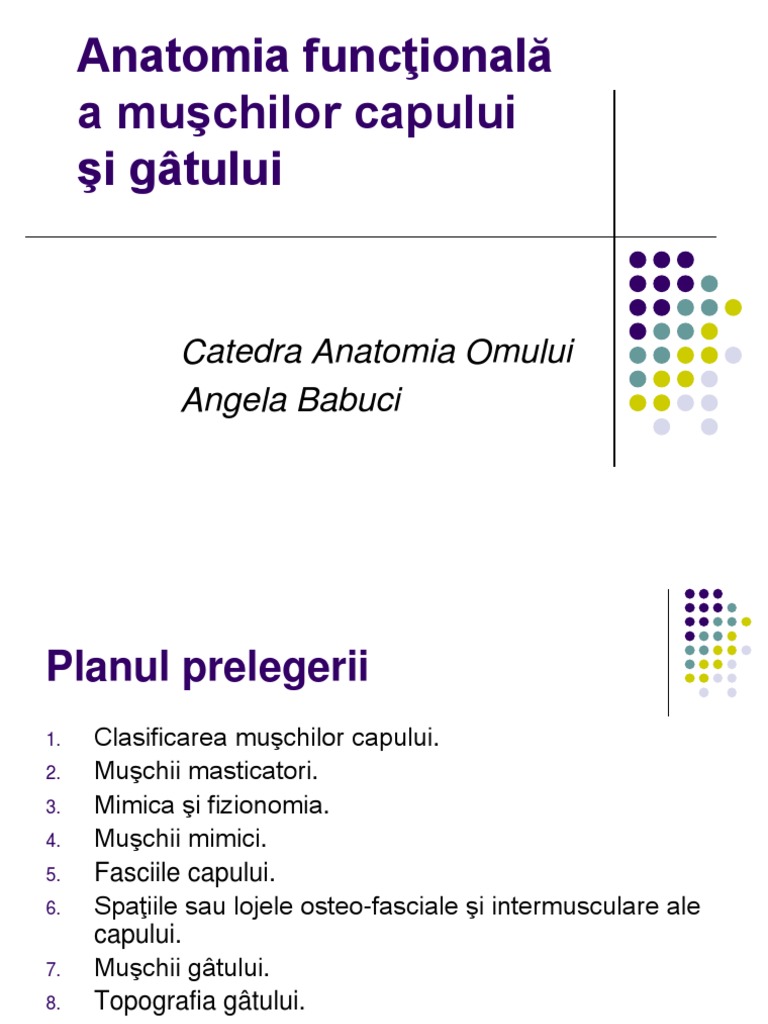 Muşchii Capului | PDF