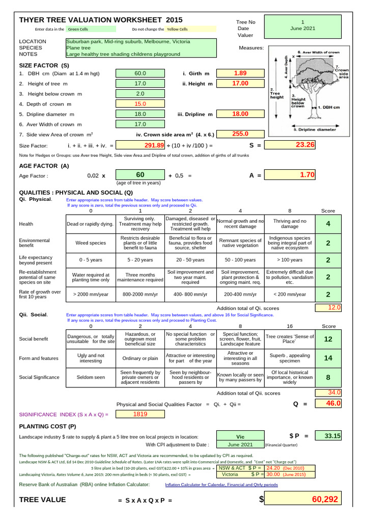 Tree Valuation Worksheet for Melbourne | PDF | Trees | Plants