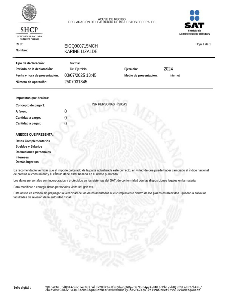 Declaracion Karine Lizalde 2024 | PDF | Impuesto sobre la renta | Impuestos