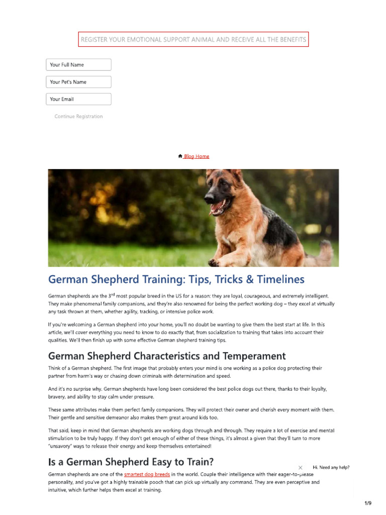 Dog | PDF