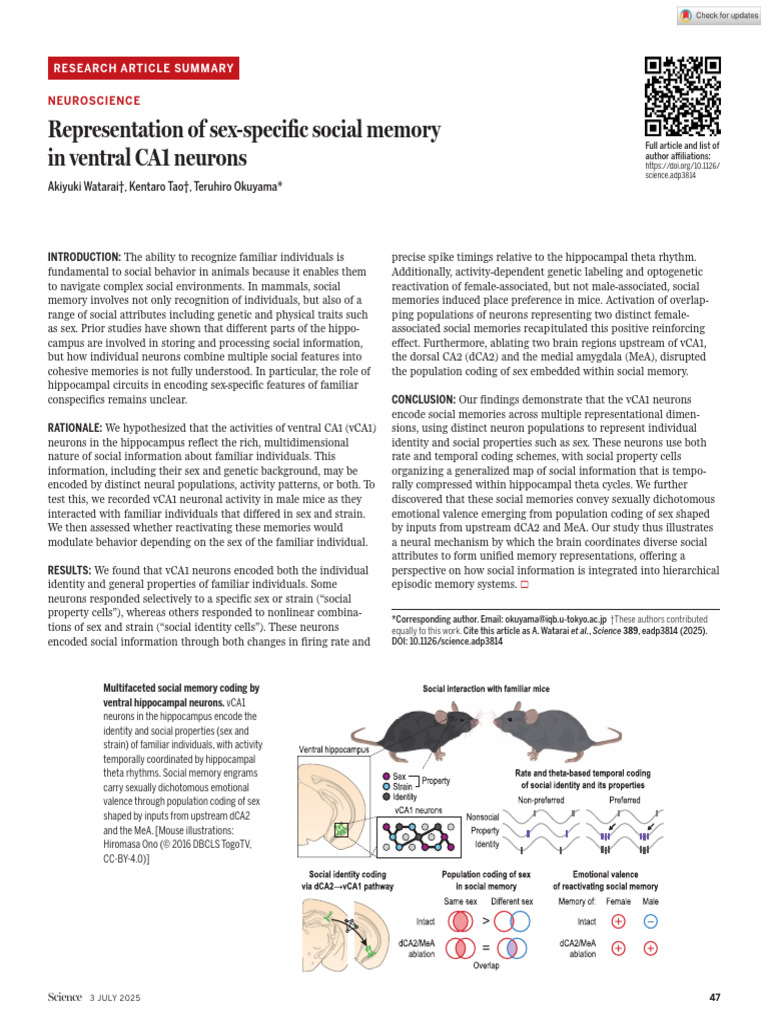 Sex-Specific Social Memory in vCA1 Neurons | PDF | Hippocampus | Memory