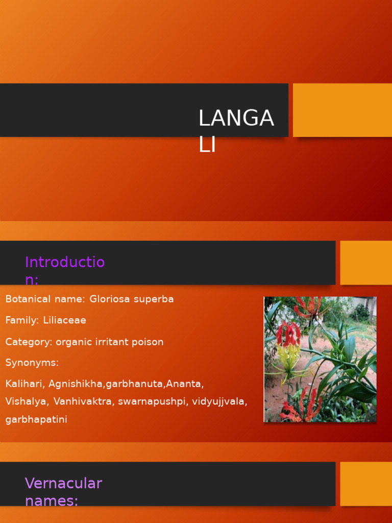 Langali Plant: Uses and Effects | PDF