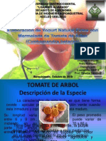 Pre - Yogurt - de - Tomate Presentación