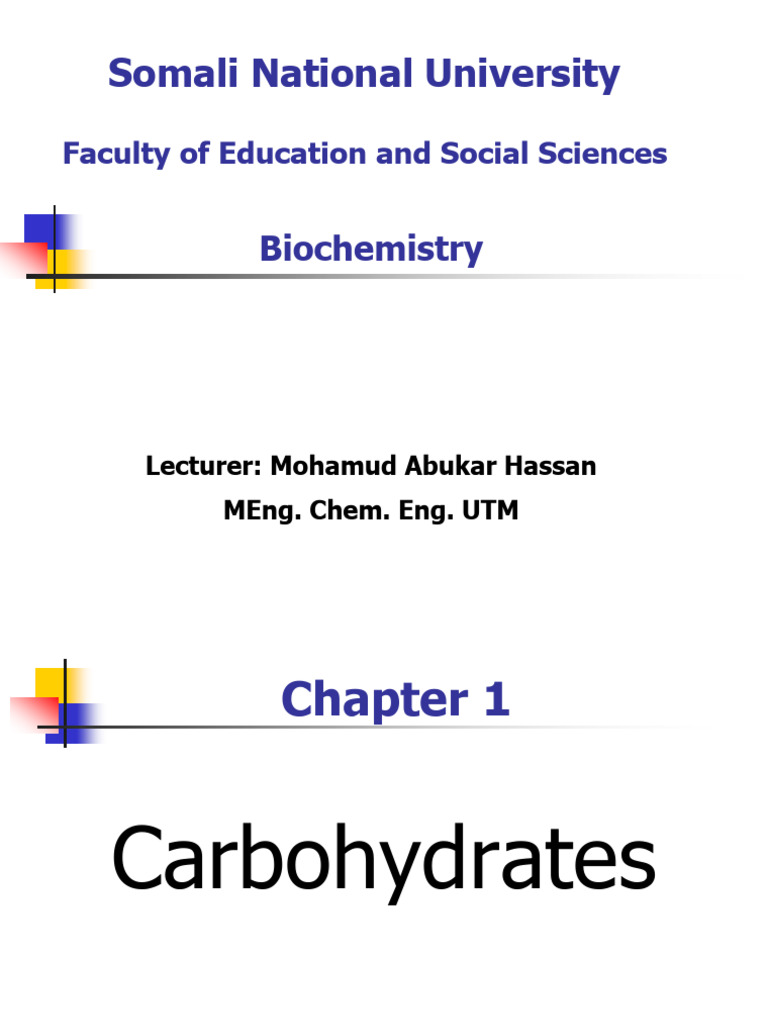 Understanding Carbohydrates: Types & Structure | PDF | Carbohydrates ...