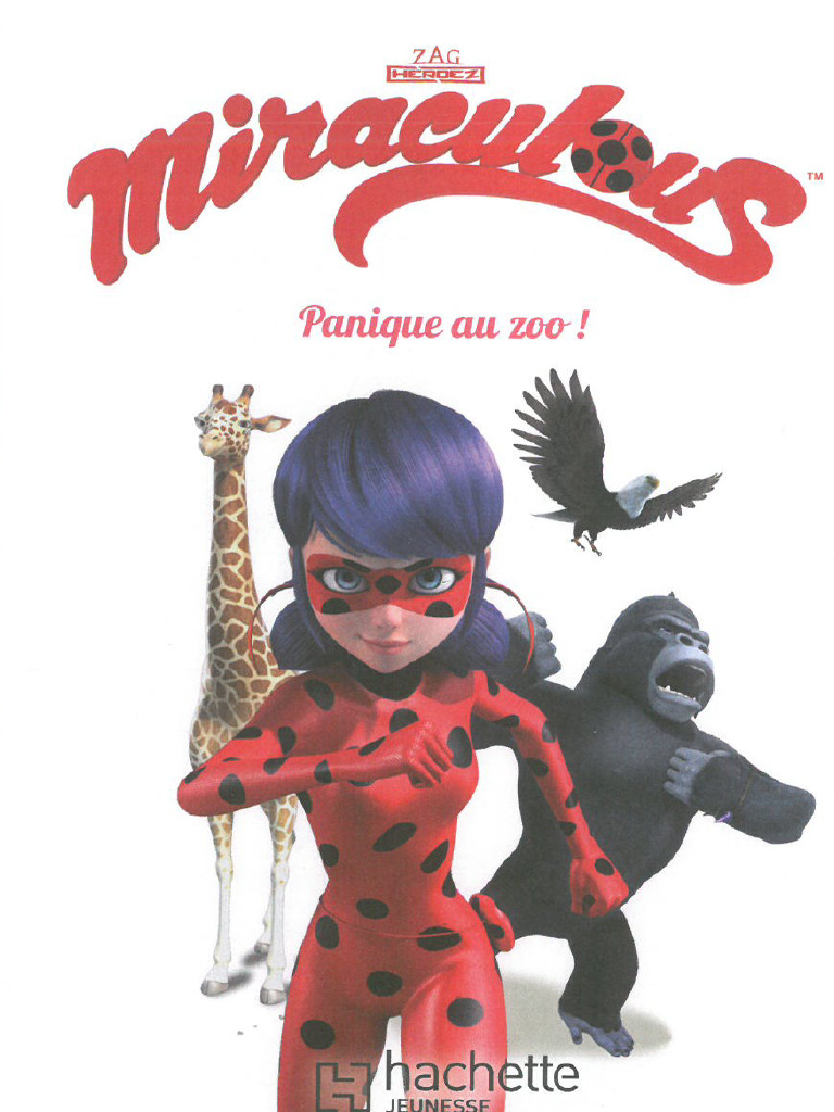 Jeu De Société Ancien PANIQUE (au Zoo) - Illustration Pierre Lacroix - Édition ROG - Pièces Manquantes