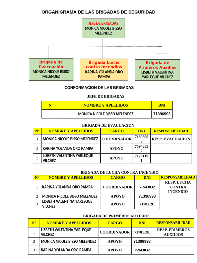Organigrama Brigadas de Seguridad | PDF