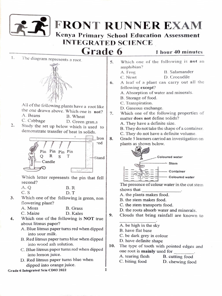 Frontrunner Grade 6 Integrated Science | PDF | Soil | Mulch