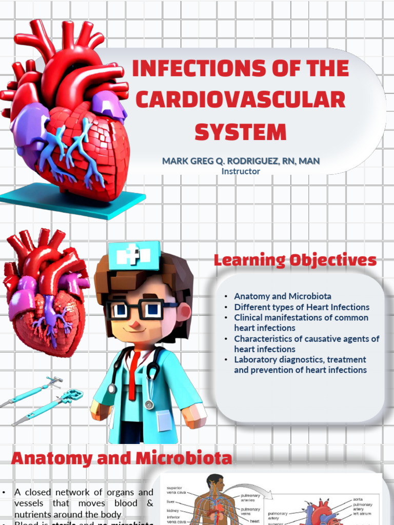MPM Lecture 7 Cardiovascular System | PDF | Heart Valve | Atrium (Heart)