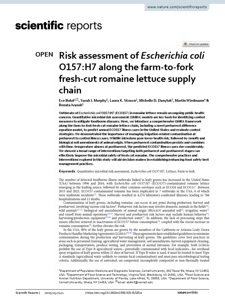 E. coli O157:H7 Risk in Romaine Lettuce | PDF