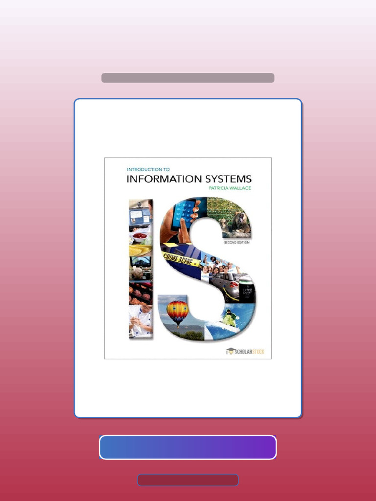 Ultimate Bundle Introduction To Information Systems 2E 2nd Edition ...