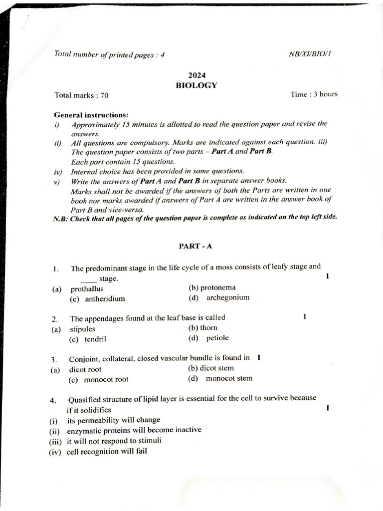 Document 26 | PDF