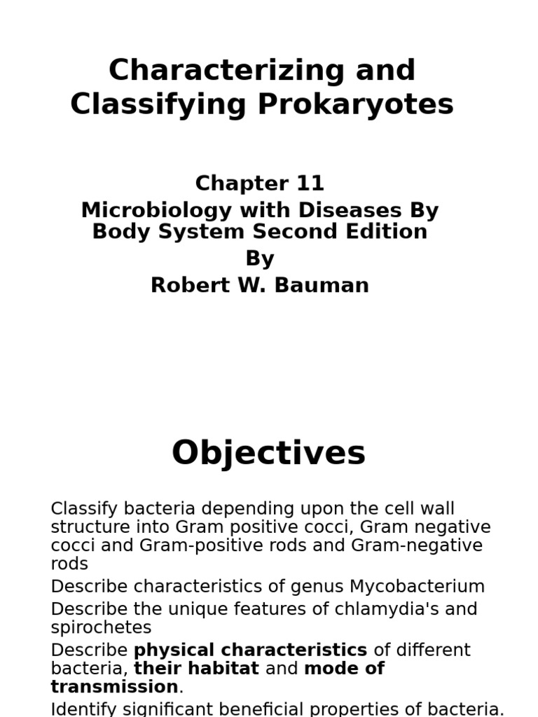 Prokaryote Classification and Characteristics | PDF | Streptococcus ...