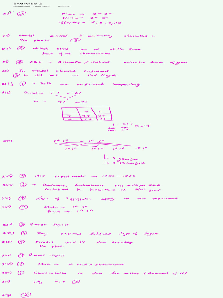Exercise 2 | PDF