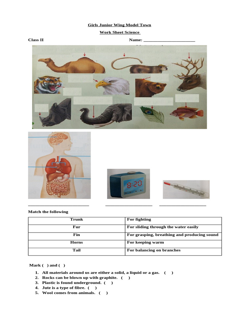 Class II Science Worksheet: Match Items | PDF