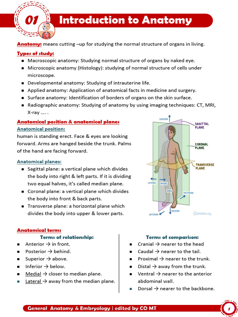 Anatomy Overview: Structure & Functions | PDF | Anatomical Terms Of ...
