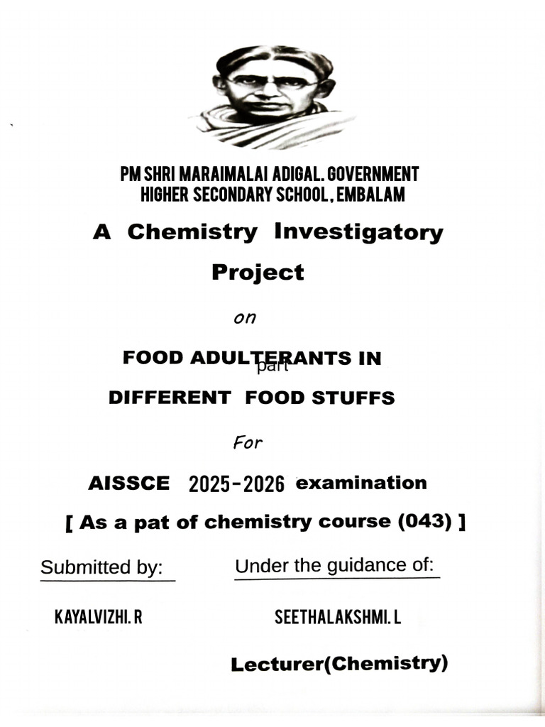 Food Chemistry Project For Class 12 Cbse | PDF
