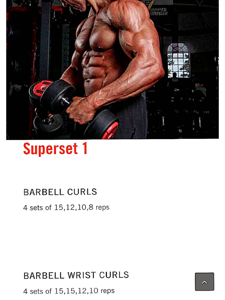 Biceps | PDF