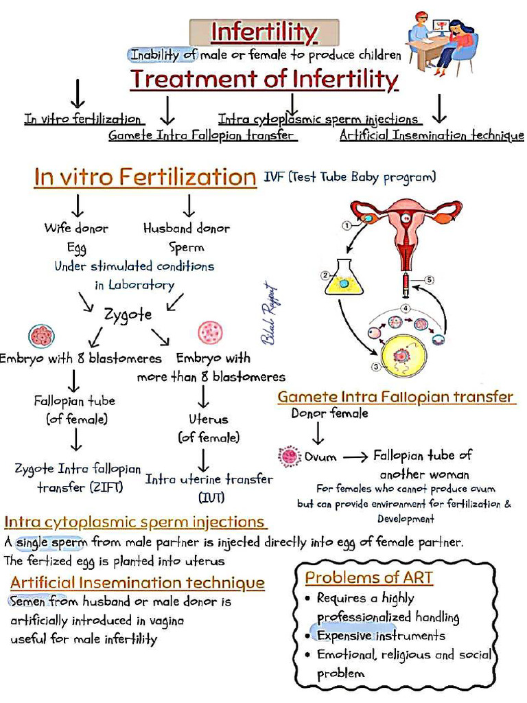 Biology's Reproductive Health by Bilal Rajput | PDF