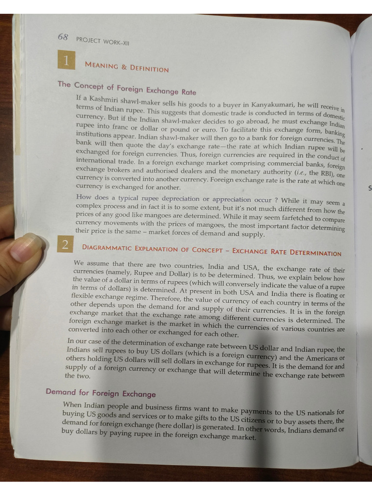 Eco Project File - Exchange Rates | PDF