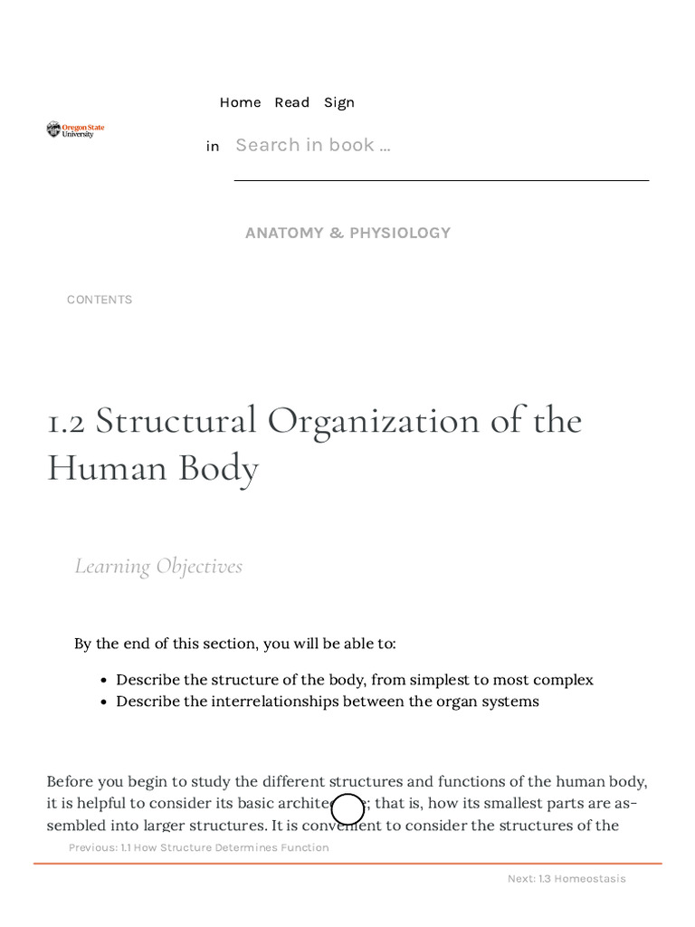 Structural Organization of the Human Body | PDF | Cell (Biology) | Matter