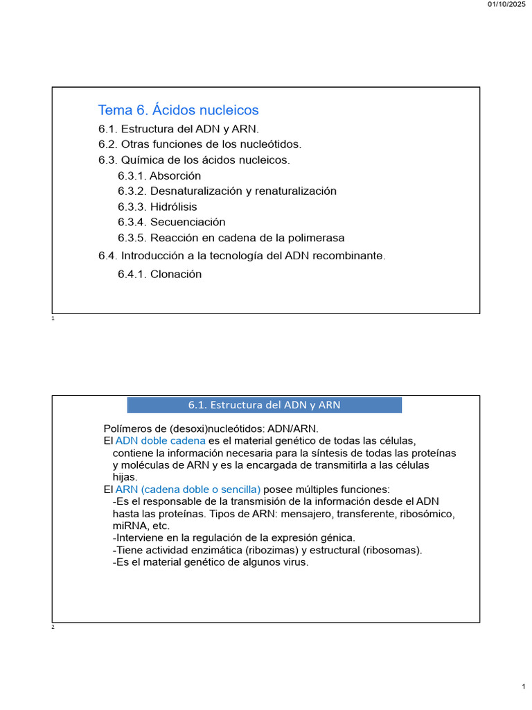 Tema 6-Ácidos Nucleicos | PDF | Secuencia ADN | Adn