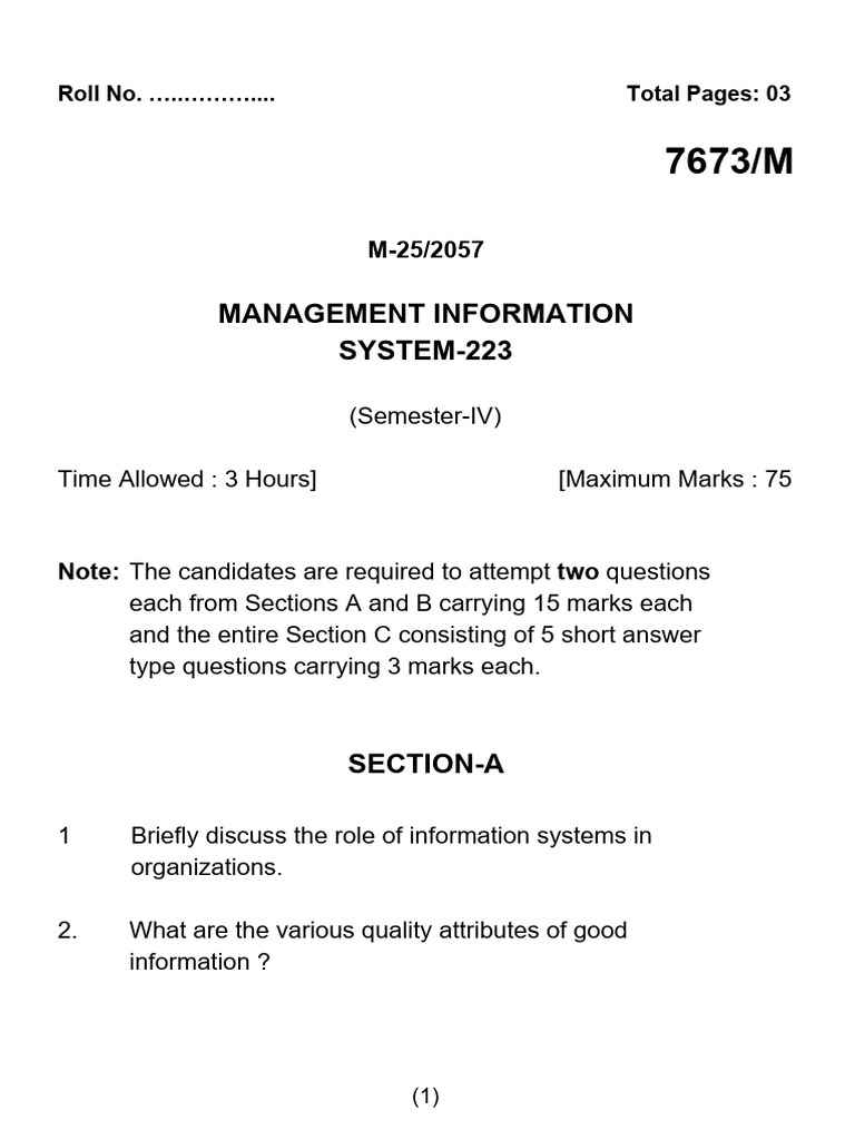 Bca 4 Sem Management Information System 2017 | PDF
