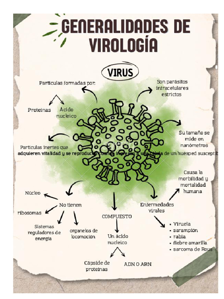Flashcard Virologia | PDF