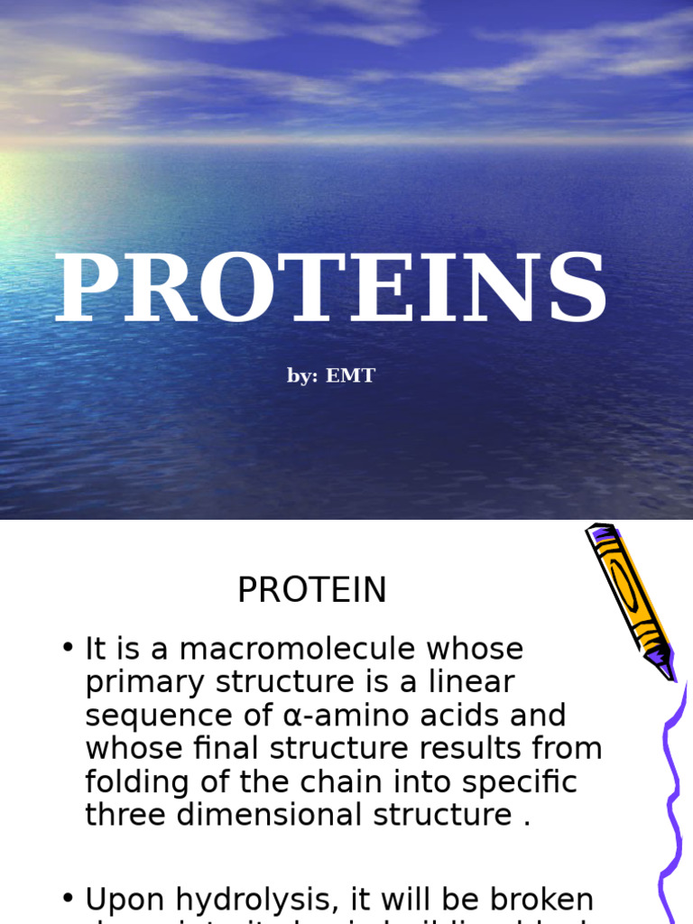 Understanding Protein Structure and Function | PDF | Amino Acid | Proteins