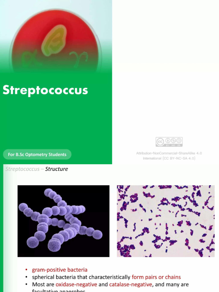Streptococcus Infection | PDF