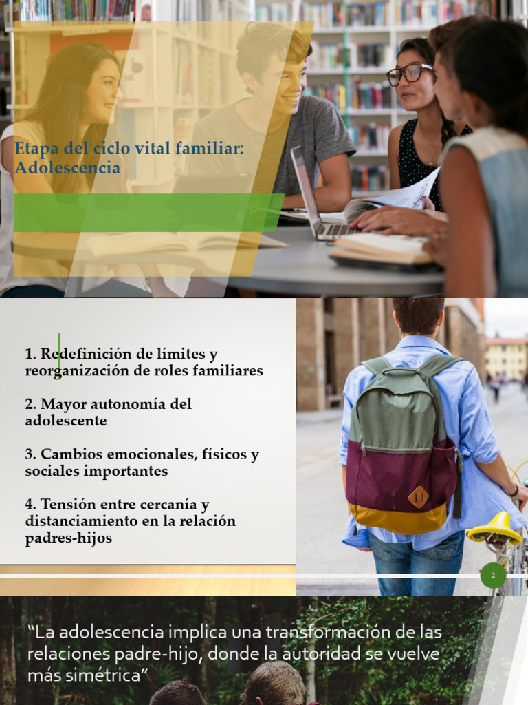 Ciclo de La Familia | PDF