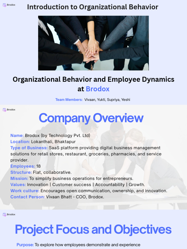 Organizational Behavior and Employee Dynamics at Brodox | PDF ...