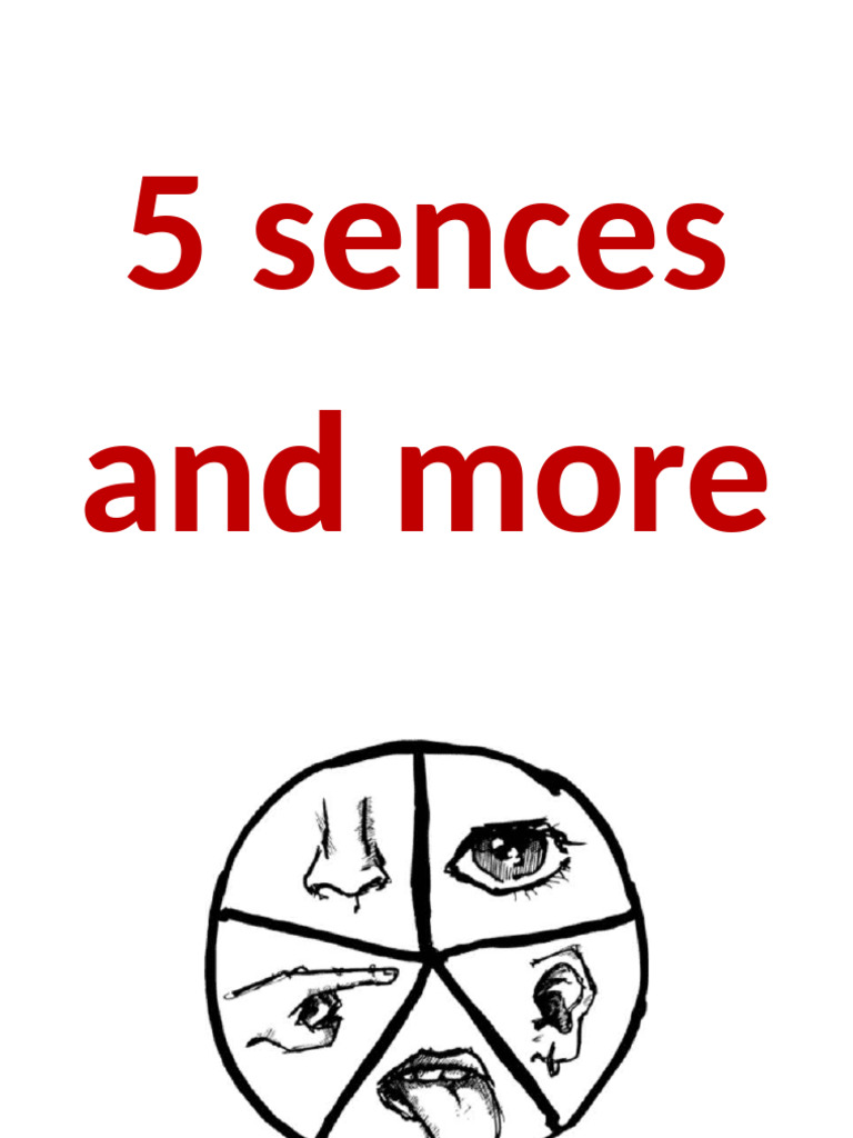 Exploring the Five Senses | PDF