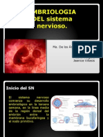 Embriología del SN en